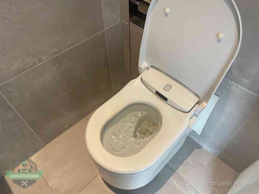 Wc Verstopt In Rijswijk Wc Verstopt In Rijswijk
